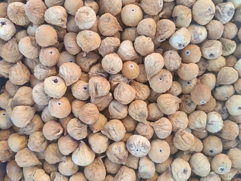 تصویر 1 از خرید و فروش انجیر خشک معمولی + خرید از باغ دار
